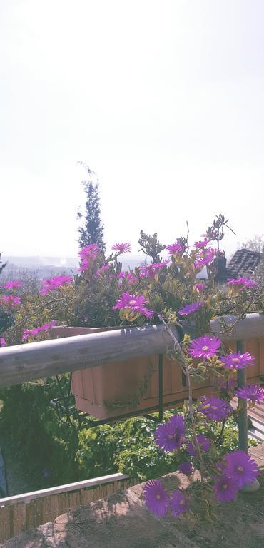 Villa Antico Borghetto Di Tigliano วินชี ภายนอก รูปภาพ