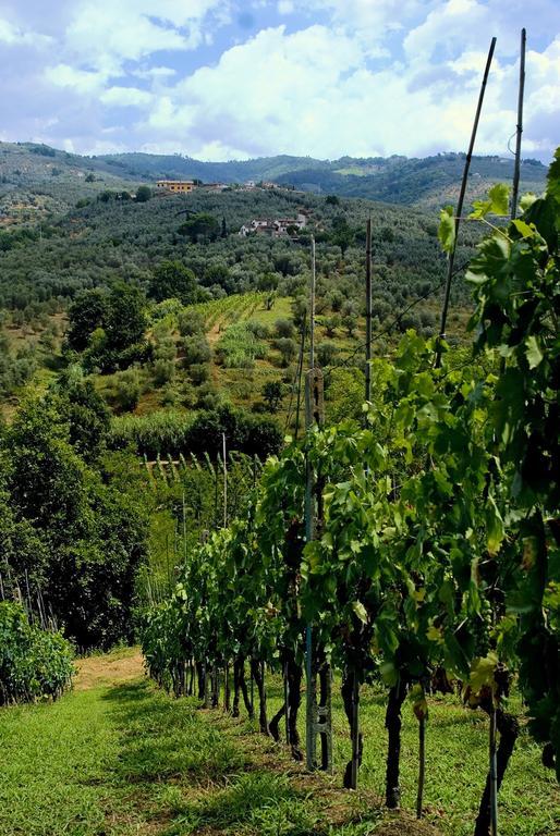 Villa Antico Borghetto Di Tigliano วินชี ภายนอก รูปภาพ
